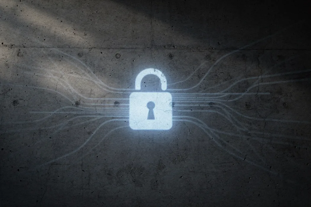 Cybersecurity & Privacy